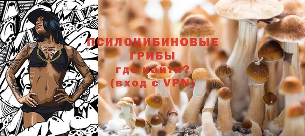 гидропоника Алексин