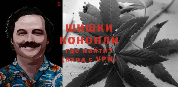 спайс Алзамай