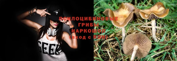 спайс Алзамай