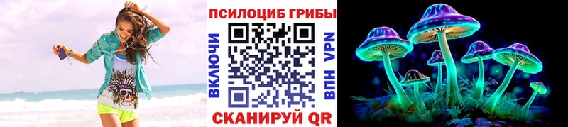 Галлюциногенные грибы Psilocybine cubensis Звенигово