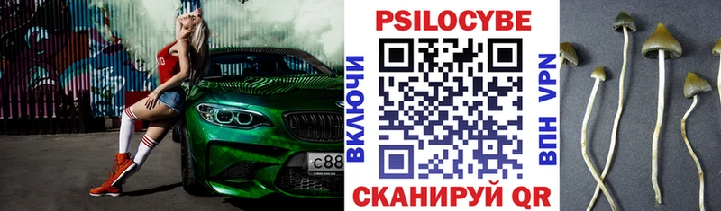Псилоцибиновые грибы Cubensis Звенигово